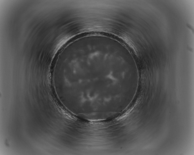 X0000097590879200802291216