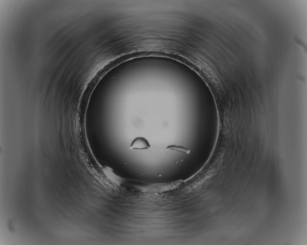 X0000097590880200802291216