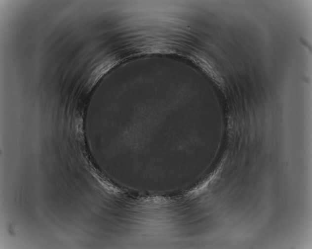 X0000097590881200802291216