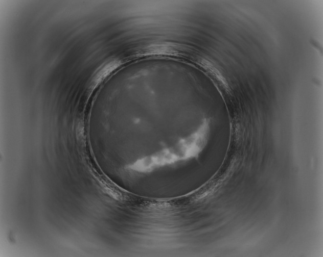 X0000097590882200802291216