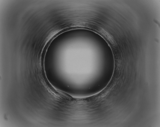 X0000097590884200802291216