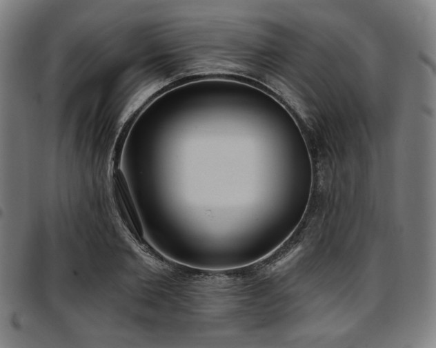 X0000097590885200802291216