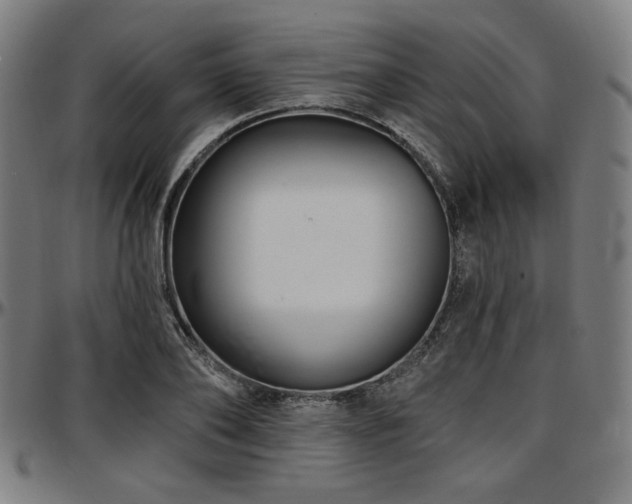 X0000097590886200802291216