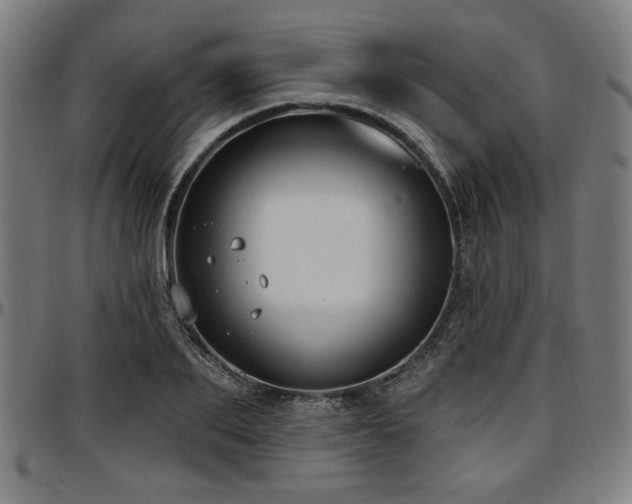 X0000097590887200802291216