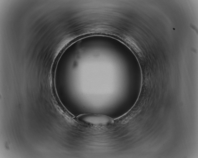 X0000097590888200802291216