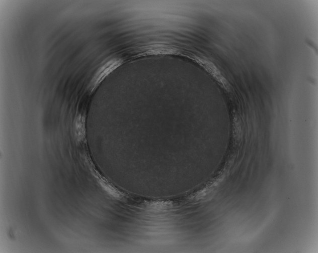X0000097590889200802291216