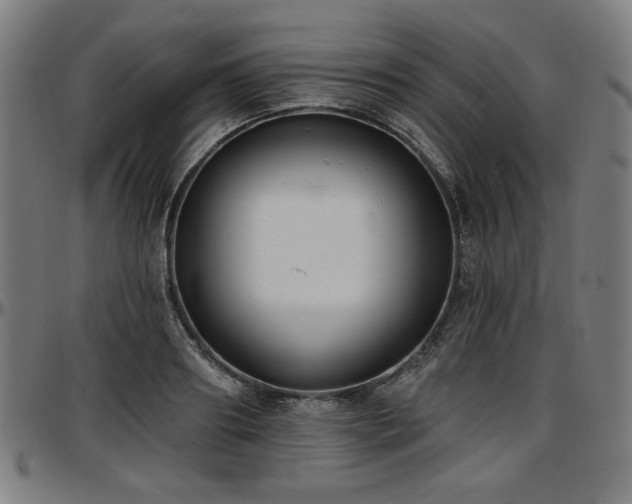 X0000097590890200802291216