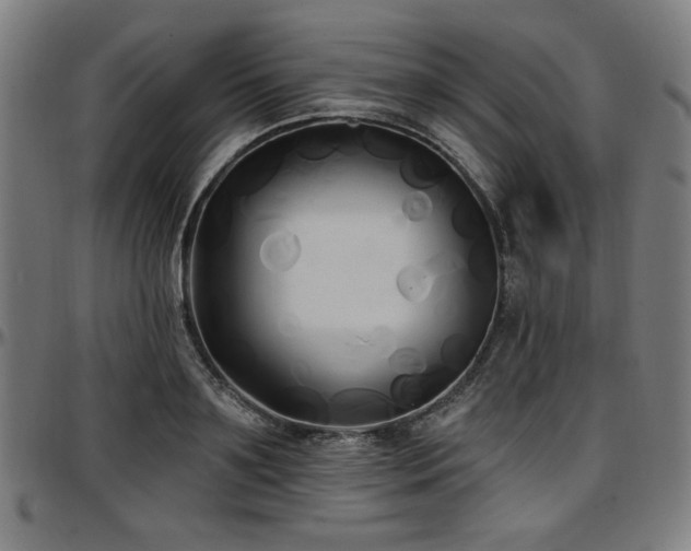 X0000097590891200802291216