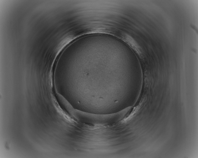 X0000097590892200802291216