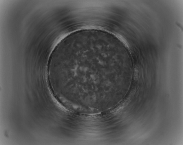 X0000097590895200802291216