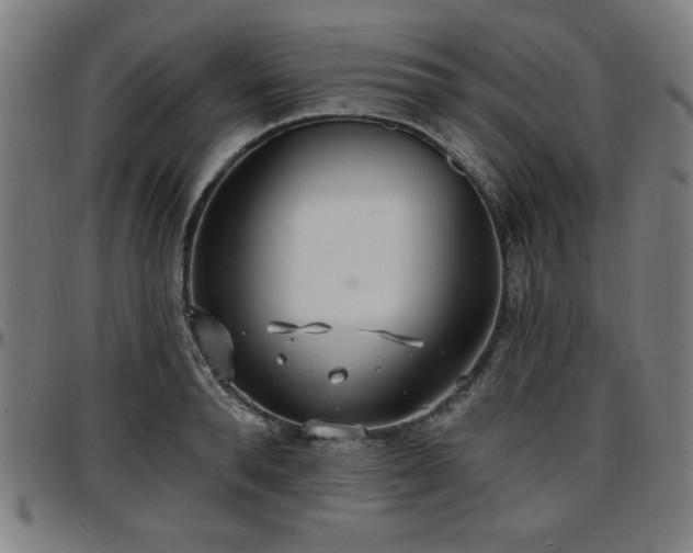 X0000097590896200802291216