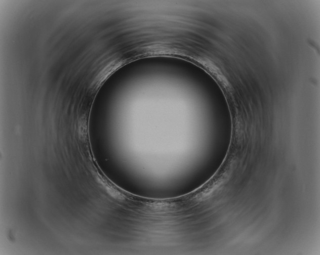 X0000097590897200802291216
