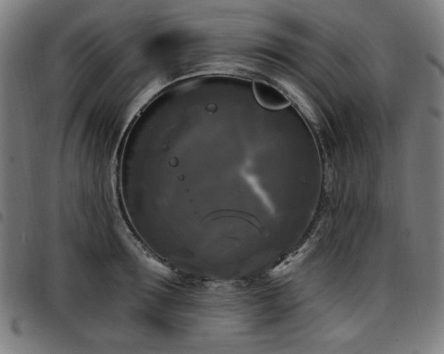 X0000097590899200802291216