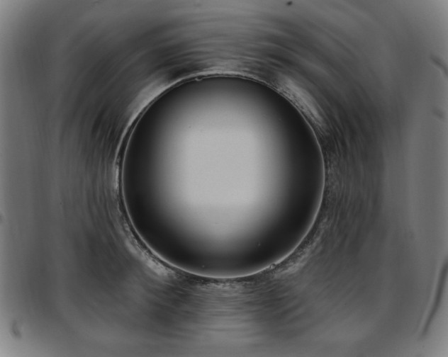 X0000097590900200802291216
