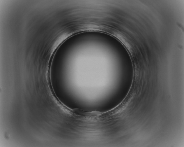 X0000097590901200802291216