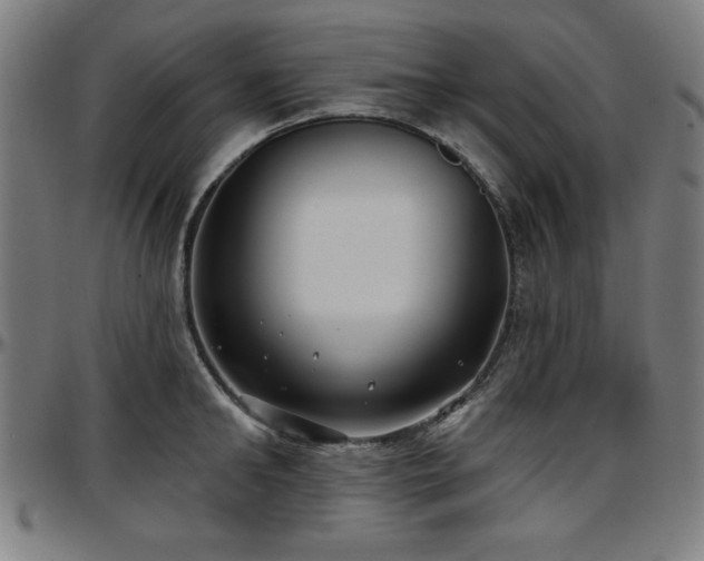 X0000097590902200802291216