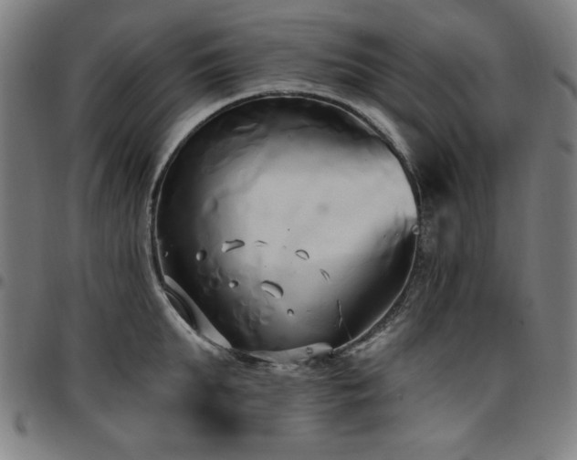 X0000097590903200802291216