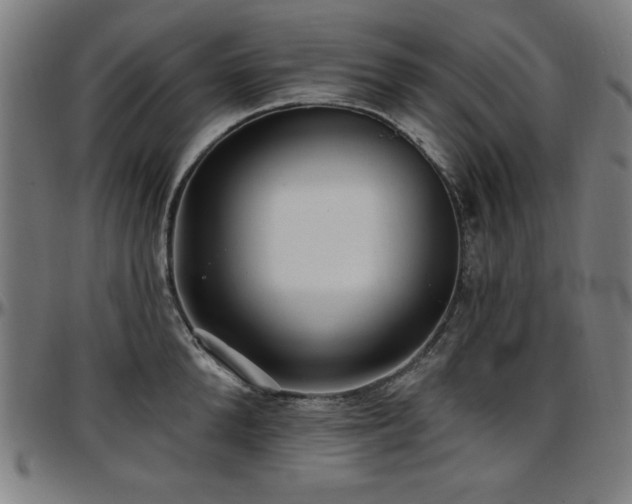 X0000097590904200802291216