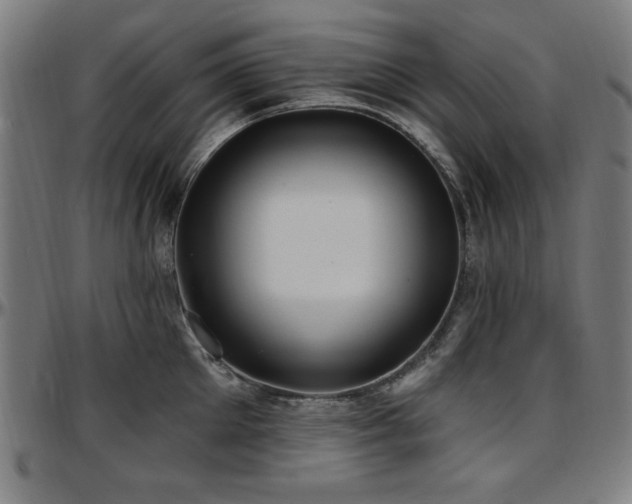 X0000097590905200802291216