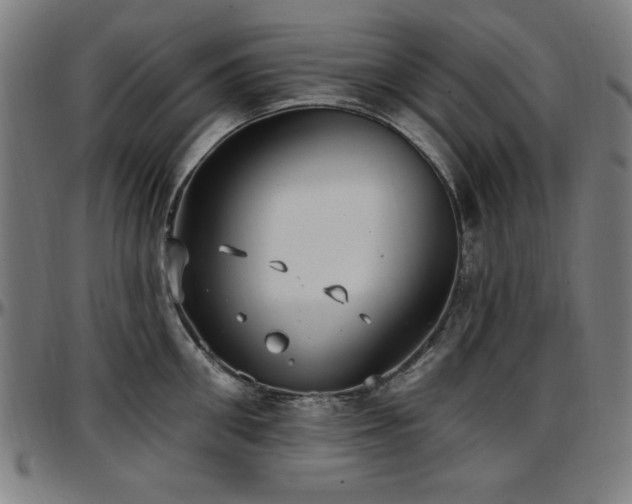 X0000097590906200802291216
