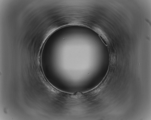 X0000097590908200802291216