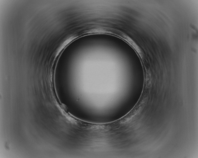 X0000097590909200802291216