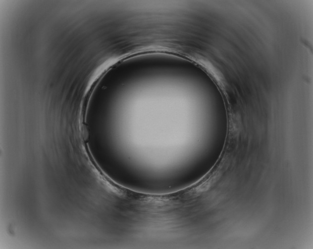 X0000097590910200802291216