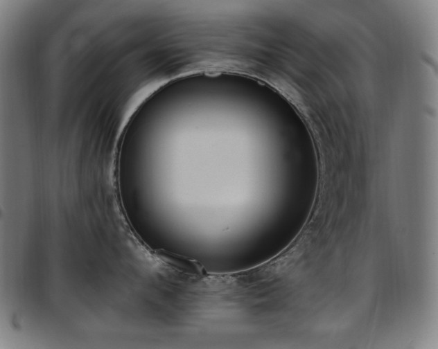 X0000097590912200802291216