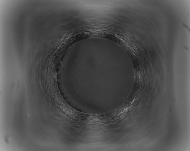X0000097590913200802291215