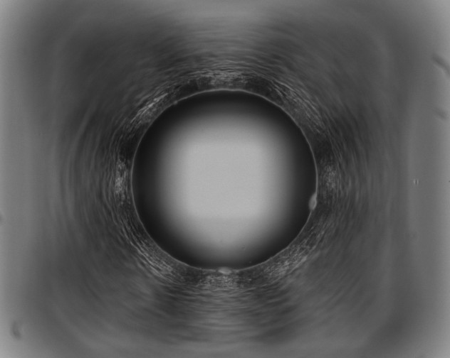 X0000097590914200802291215