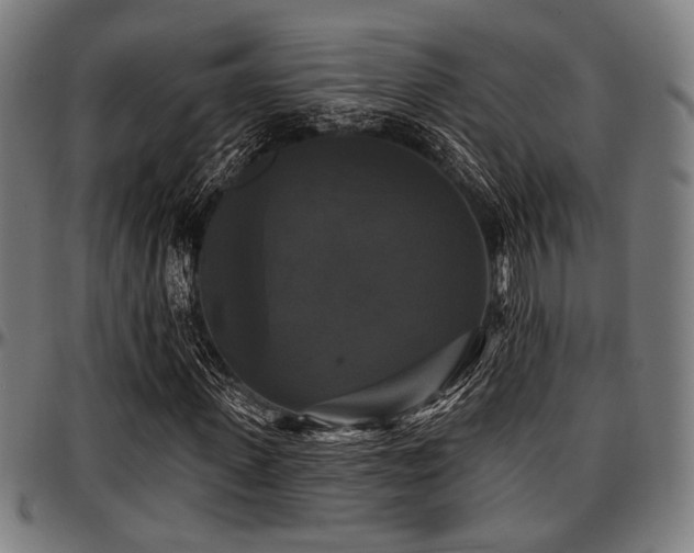 X0000097590915200802291215