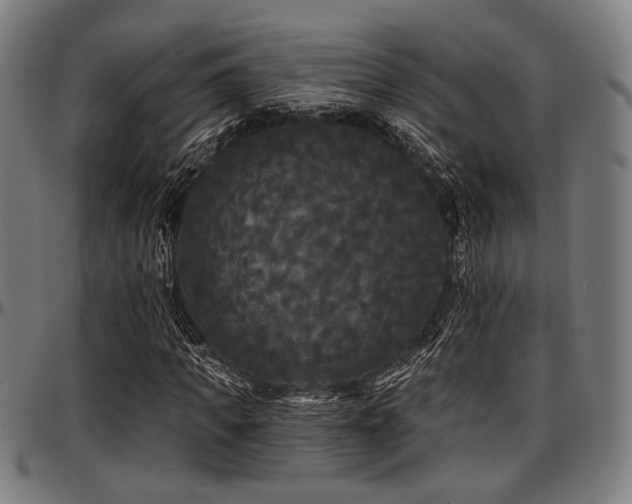X0000097590917200802291215