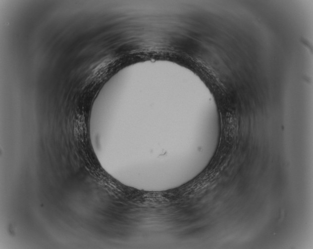 X0000097590918200802291215