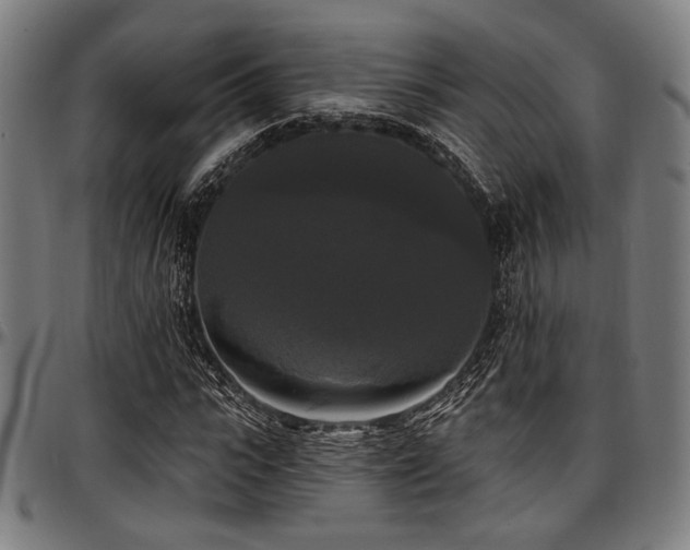 X0000097590919200802291215