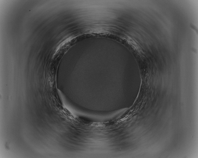 X0000097590920200802291215
