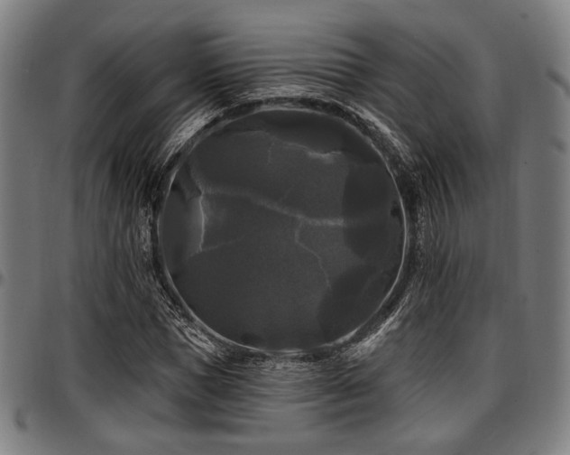 X0000097590921200802291215