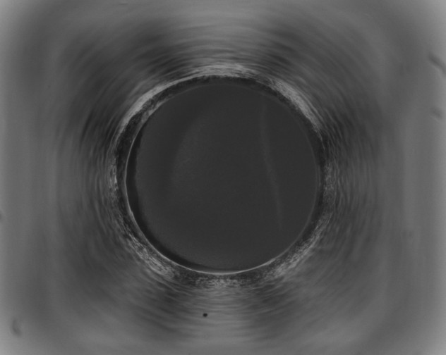 X0000097590923200802291215