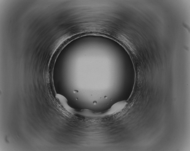 X0000097590924200802291215