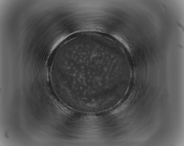 X0000097590925200802291215