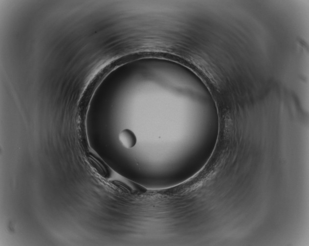 X0000097590926200802291215