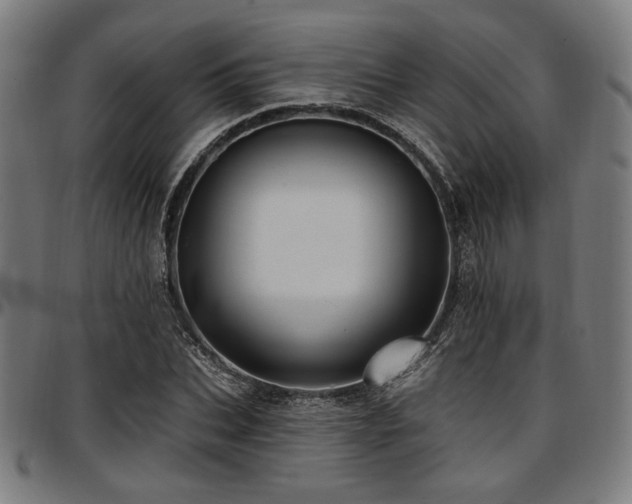 X0000097590927200802291215