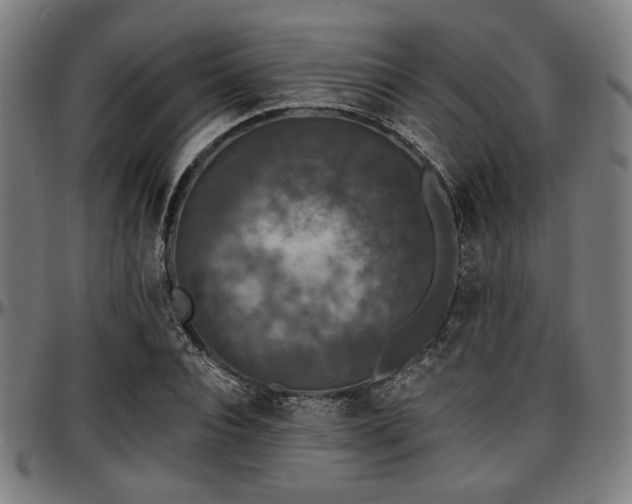 X0000097590928200802291215