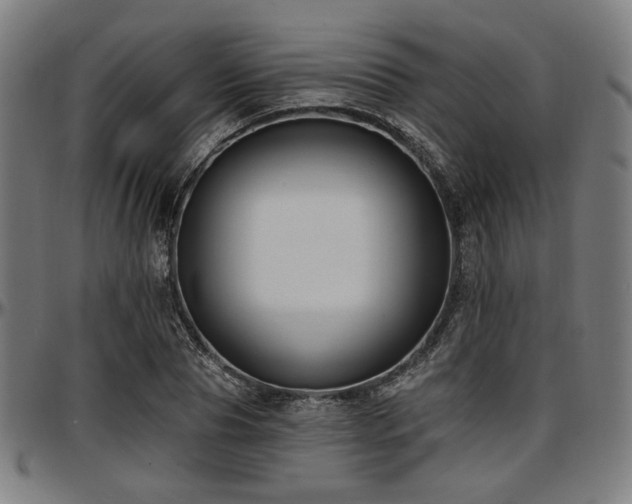 X0000097590929200802291215