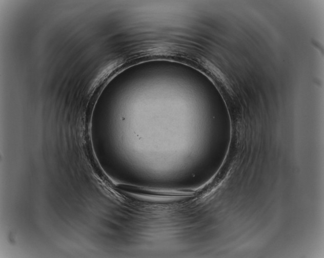 X0000097590930200802291215