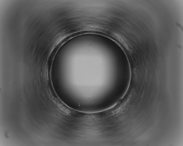 X0000097590931200802291215