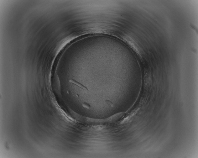X0000097590932200802291215