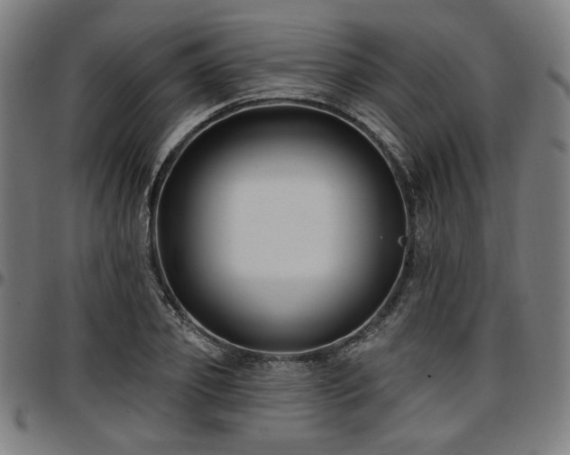 X0000097590933200802291215