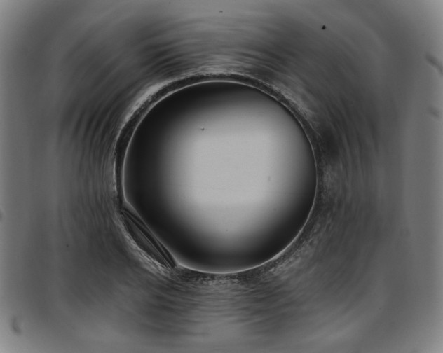 X0000097590934200802291215