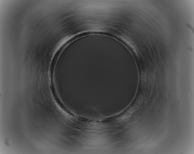 X0000097590935200802291215