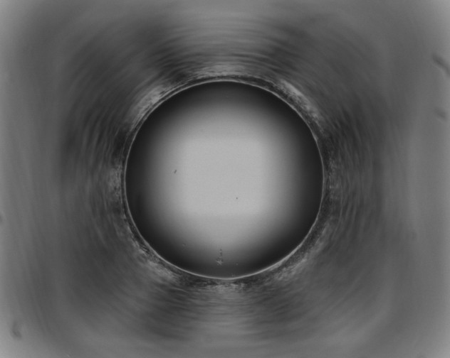 X0000097590937200802291215